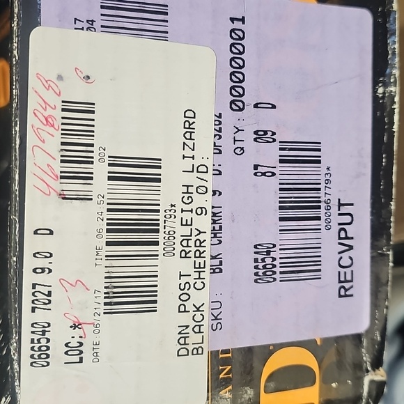 Dan Post Raleigh Lizzard - Picture 4 of 4